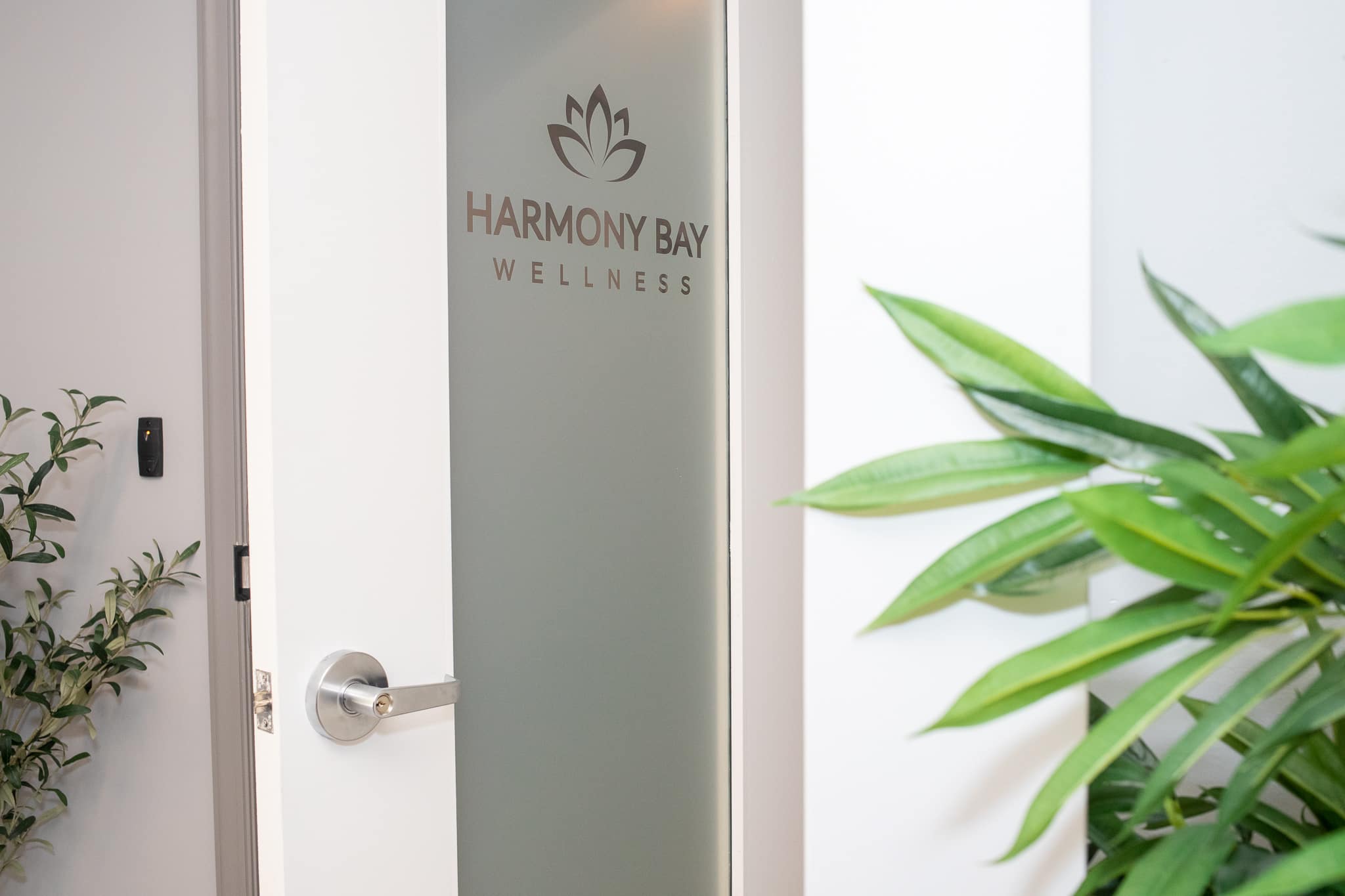 harmony bay wellness door